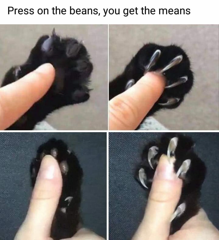 Scary paws - meme