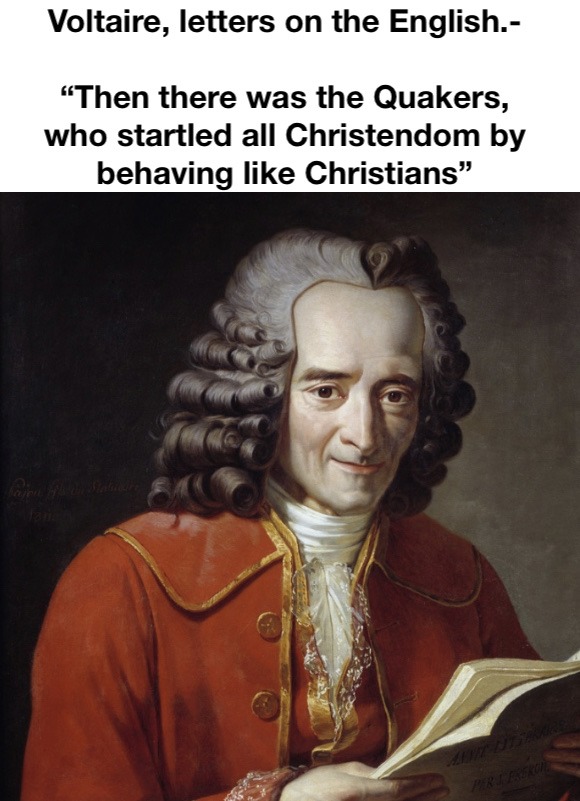 Voltaire, roast master general. - meme