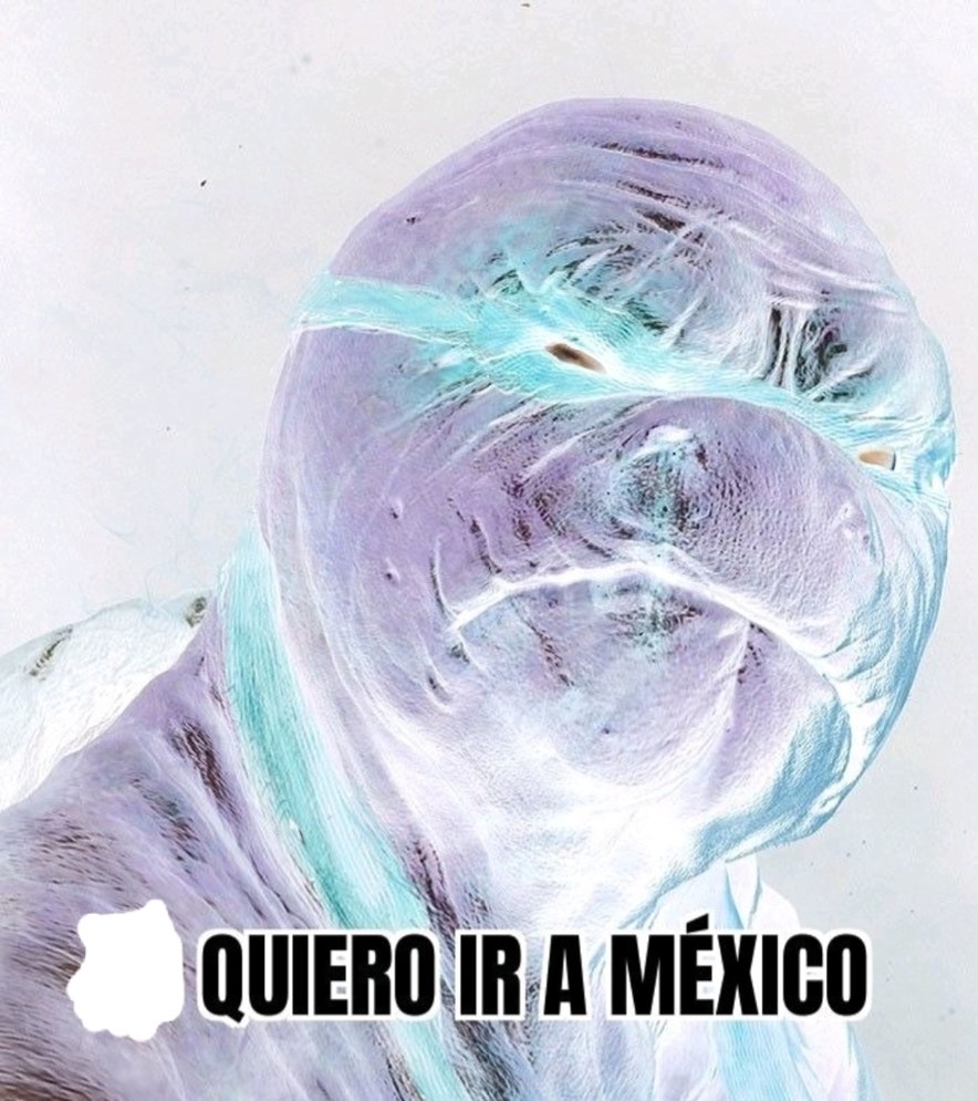 No quiero ir a México invertido - meme