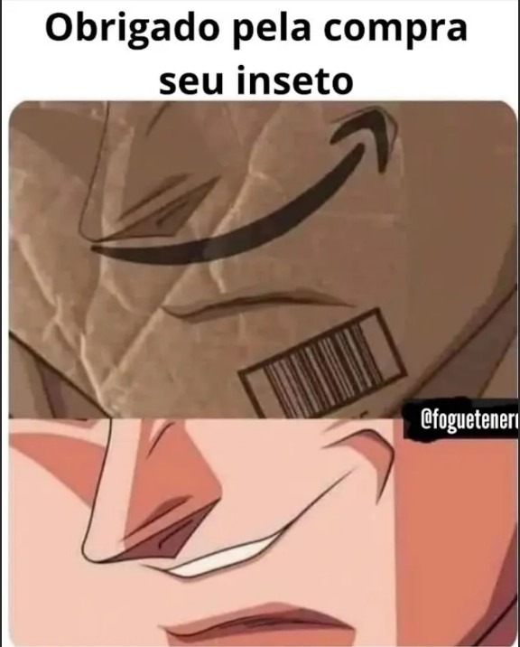 Inseto maldito - meme