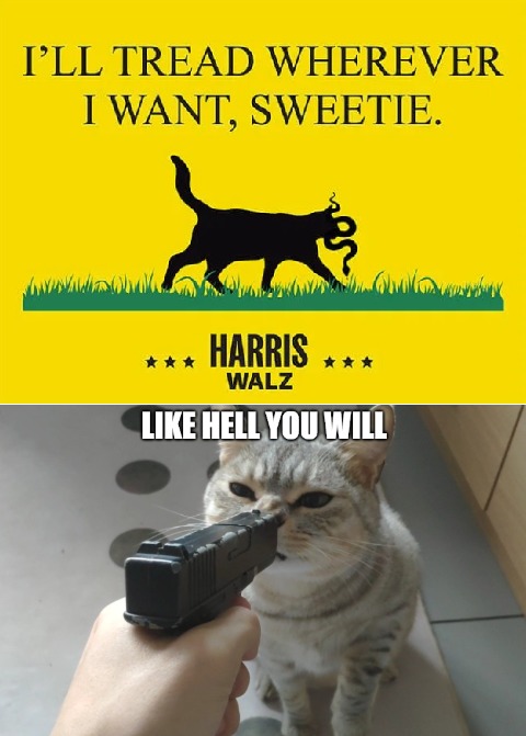 dongs in a harris - meme