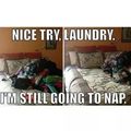 nice try, nap. I'm still going to laundry.