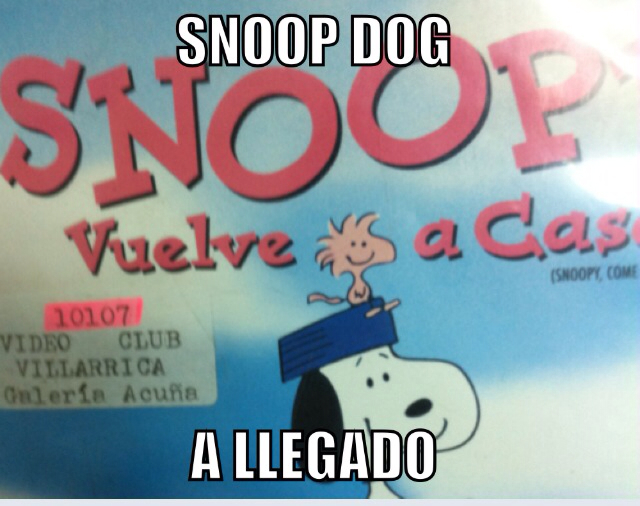 Snoop dog a vuelto - meme
