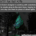 Street tree lamps