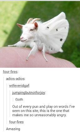 Goat + Moth = Goth - meme