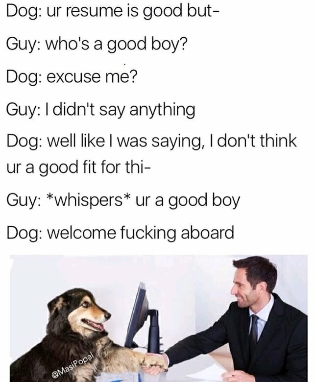 Doggo is boss - meme