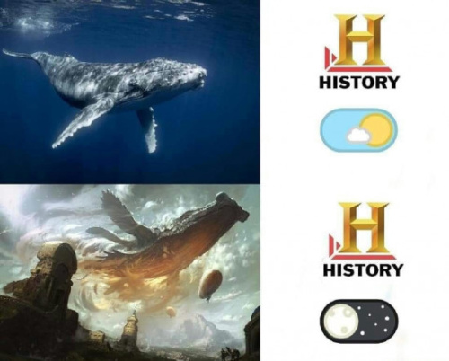 History - meme