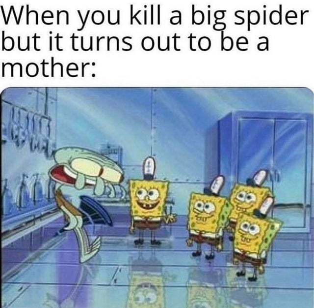 When you kill a big spider but it turns out to be a mother - meme