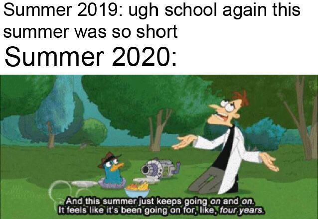 Summer of 2020 - meme