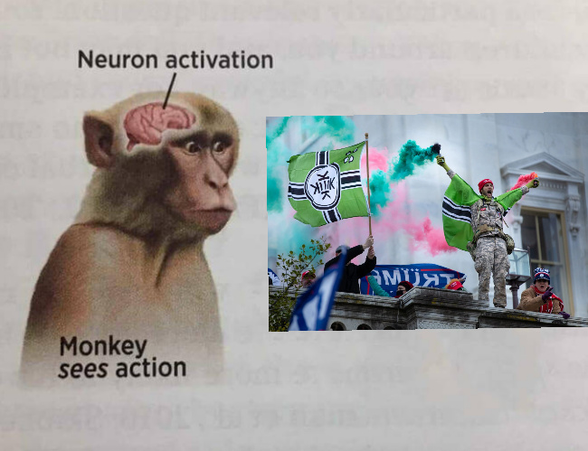 EI chimpancé ve accion - meme