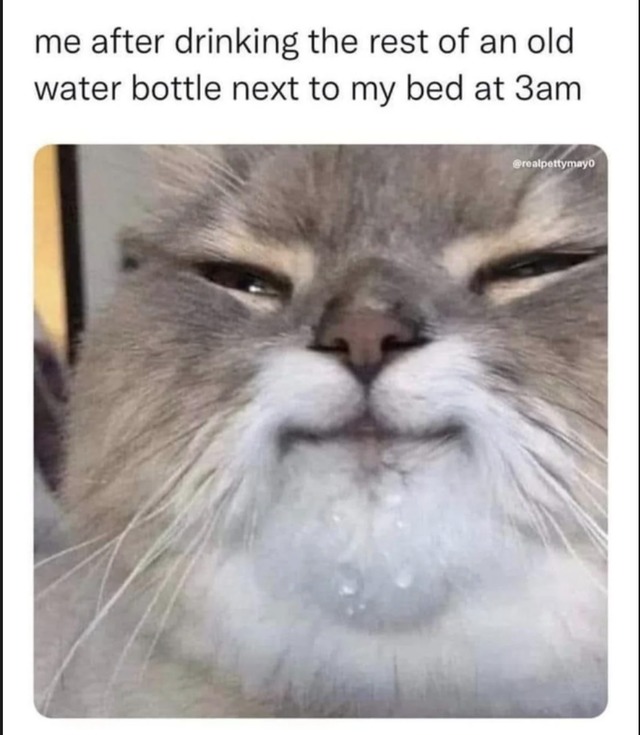 3am water drinker - meme
