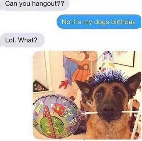 It's dogs birthday - meme