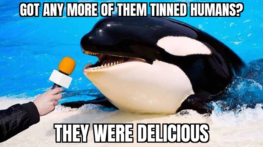 It was all Orca-strated - meme