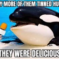 It was all Orca-strated