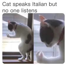 Cat-alian - meme