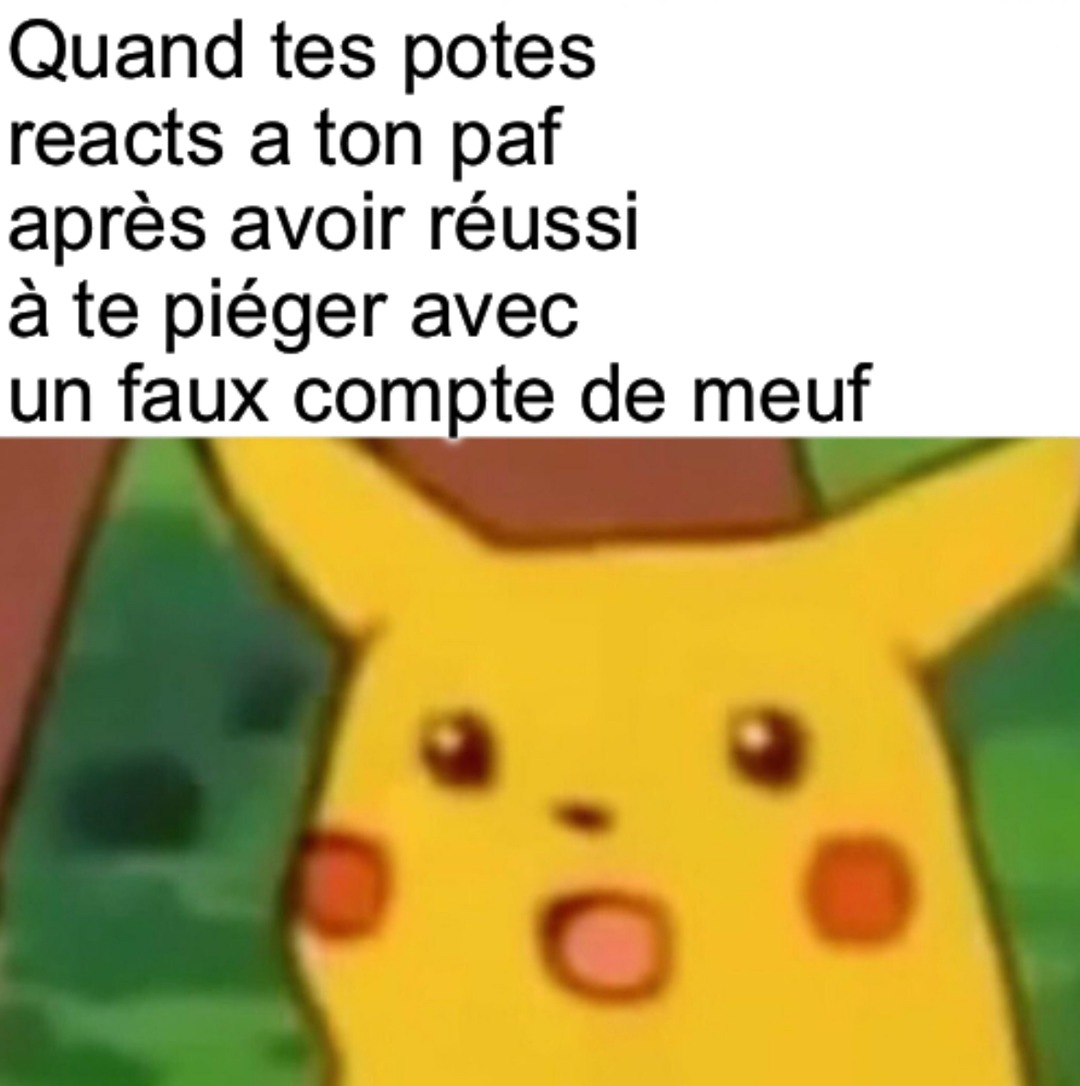 Ils sont pas prêts ( un paf est un penis butjustwhy) - meme