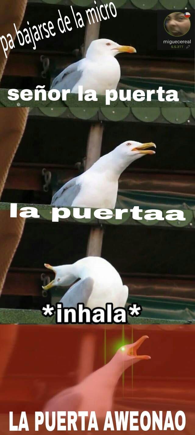 Chile :,) - meme