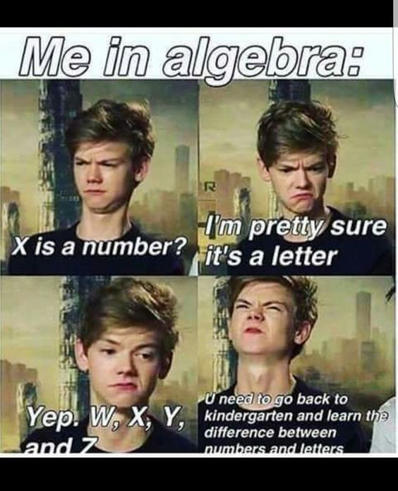 Me in algebra - meme