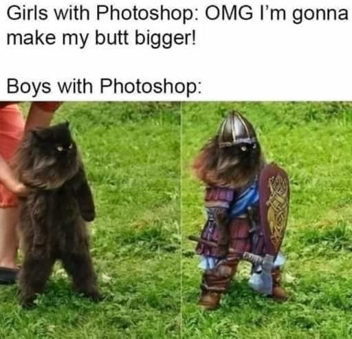 awesome viking cat - meme
