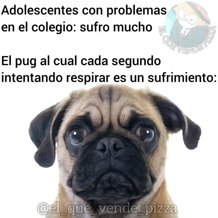 No puedo funcionar sin energía - meme
