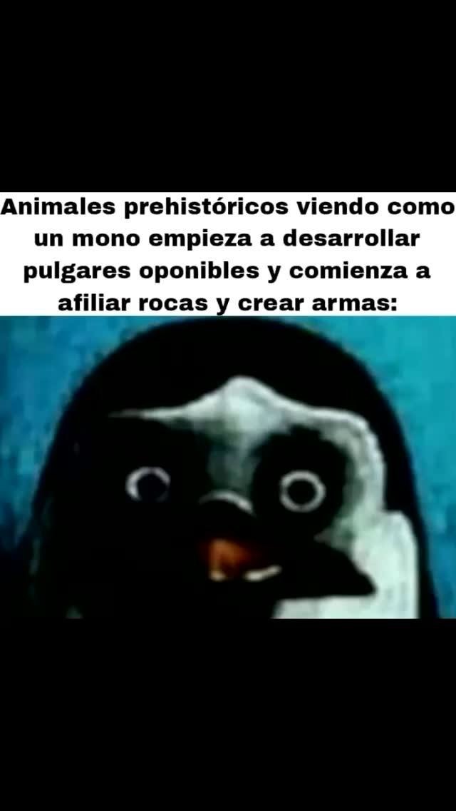 los animales prehistóricos viendo cómo un mono empieza a usar piedras - meme
