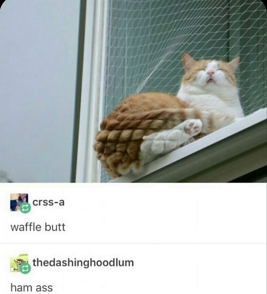 crispy waffle butt meets ham cheeks - meme