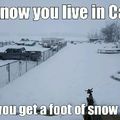 The Canadian struggles