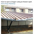 como reconhecer um dragão usando feitiço de ilusão...