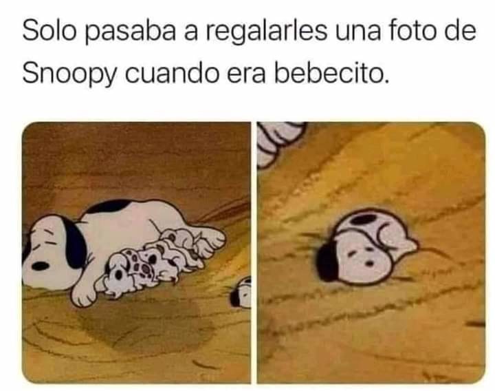 Snoopy Chiquito - meme
