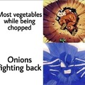 vegetables vs onions