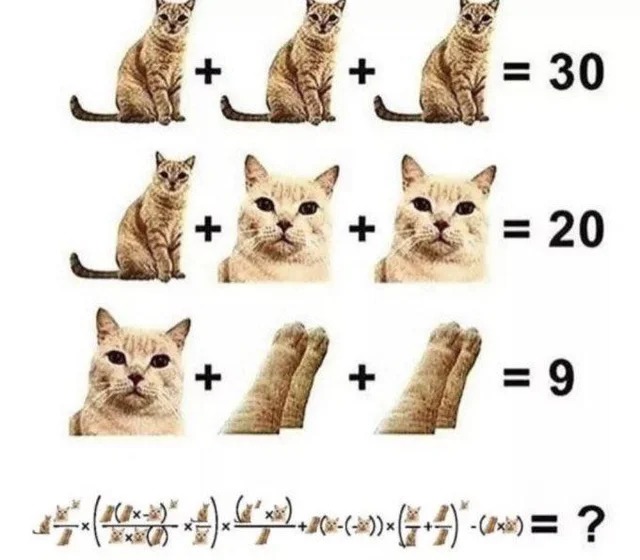 Para los matemáticos - meme