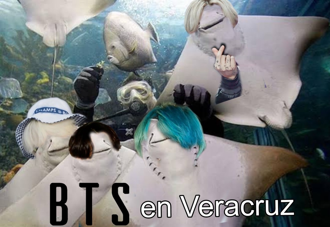 BTS en Veracruz - meme