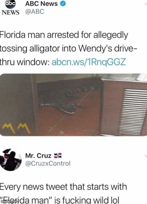 New Florida man news! - meme