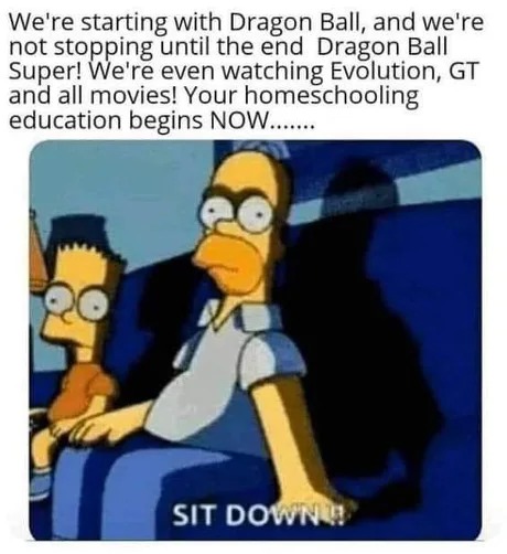 Dragon Ball education - meme
