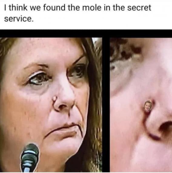 Mole - meme