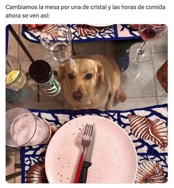 Pobrecito ;’v - meme