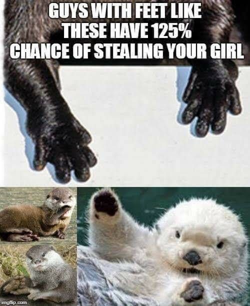 That's real life, otter gets the girl - meme