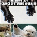 That's real life, otter gets the girl
