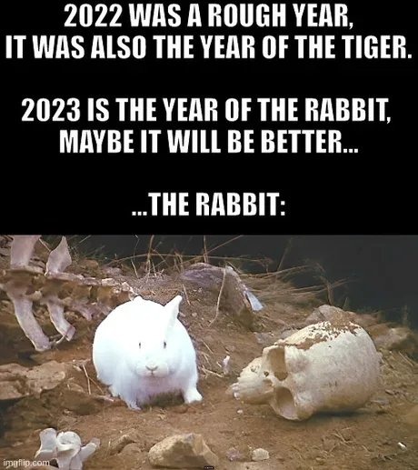 Rabbit - meme