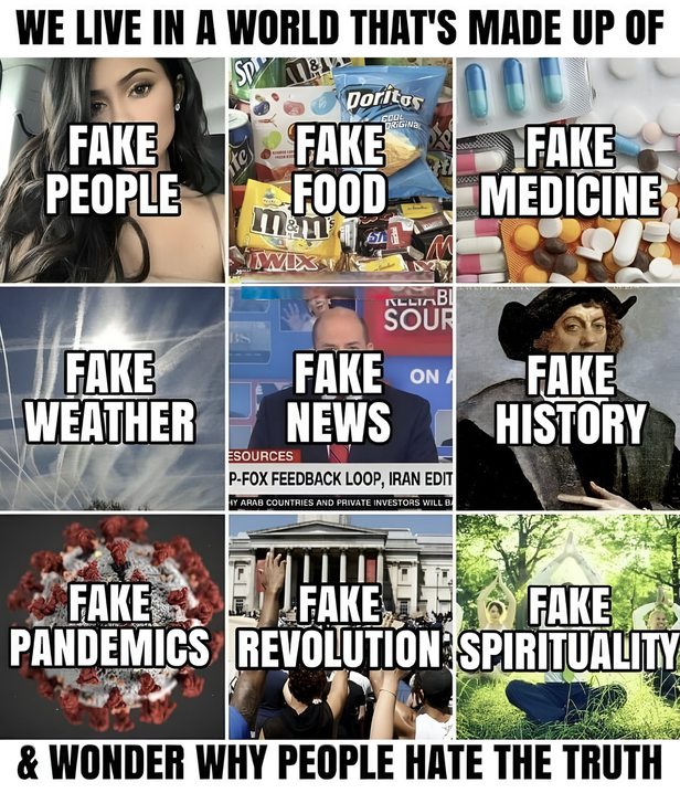 Fake everything - meme
