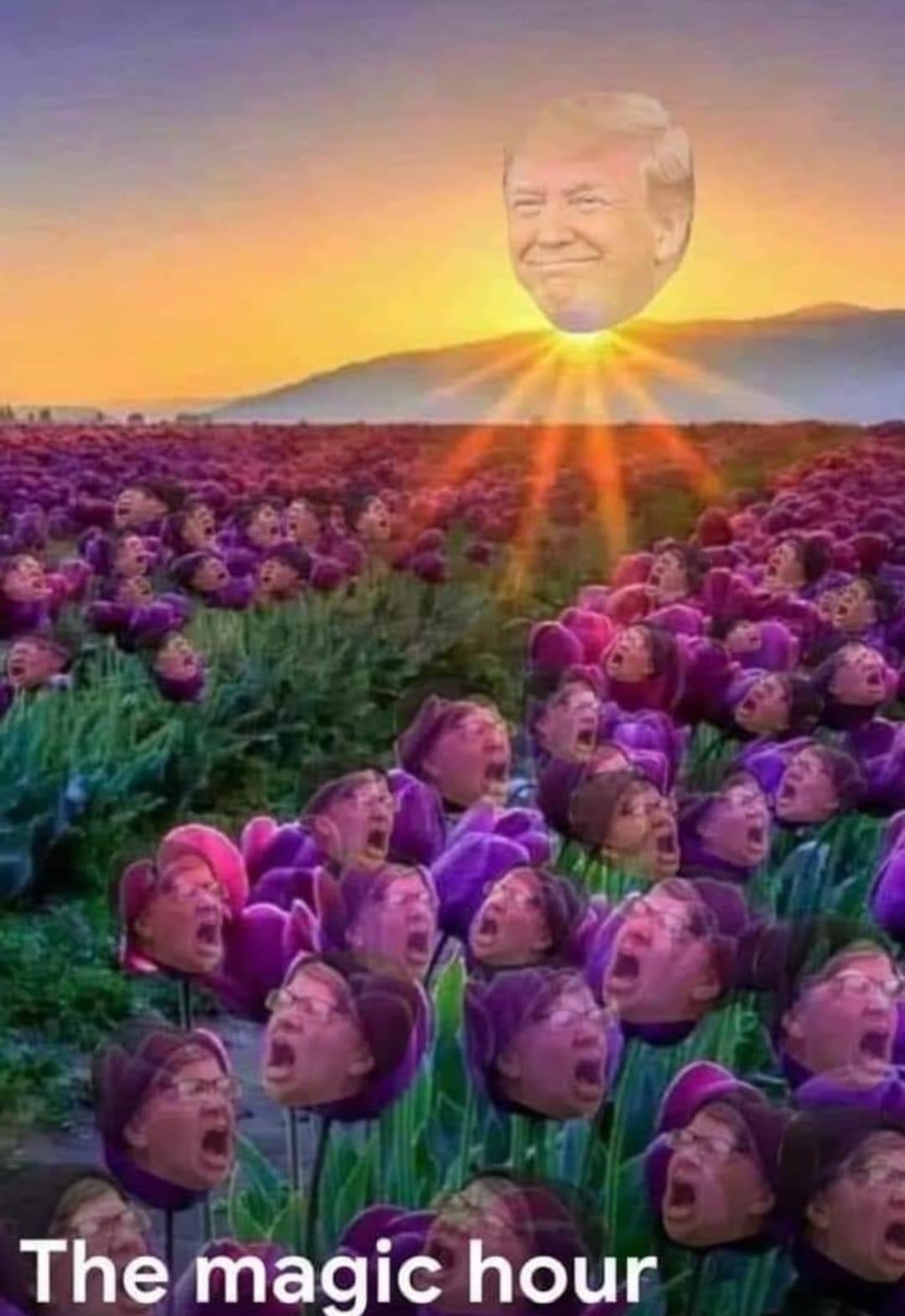 the field of squealing skittlehead pussholes - meme