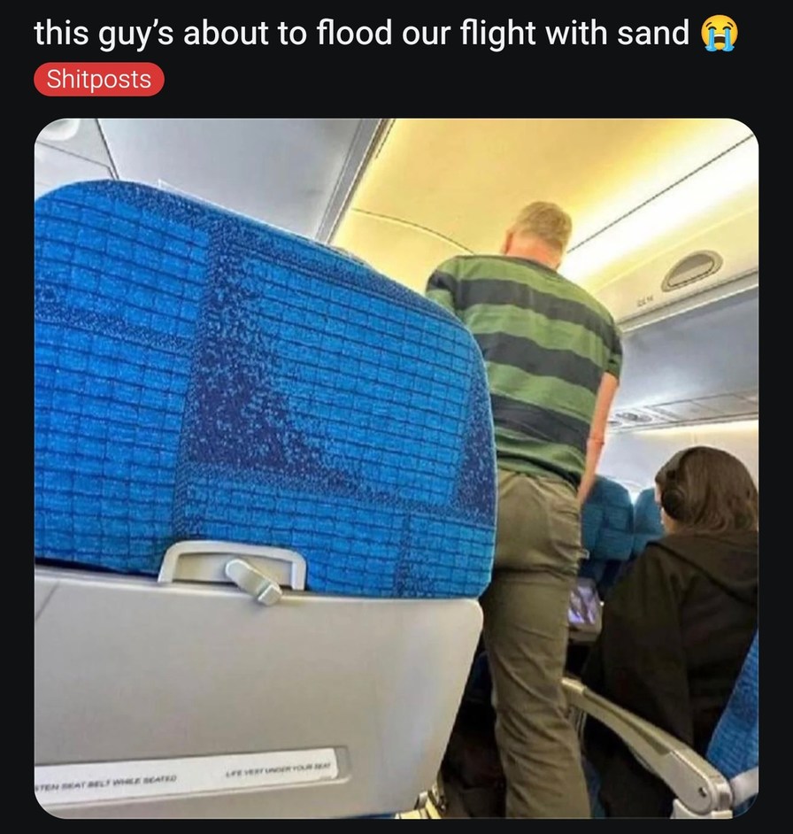 This dude about to terraform the whole cabin - meme