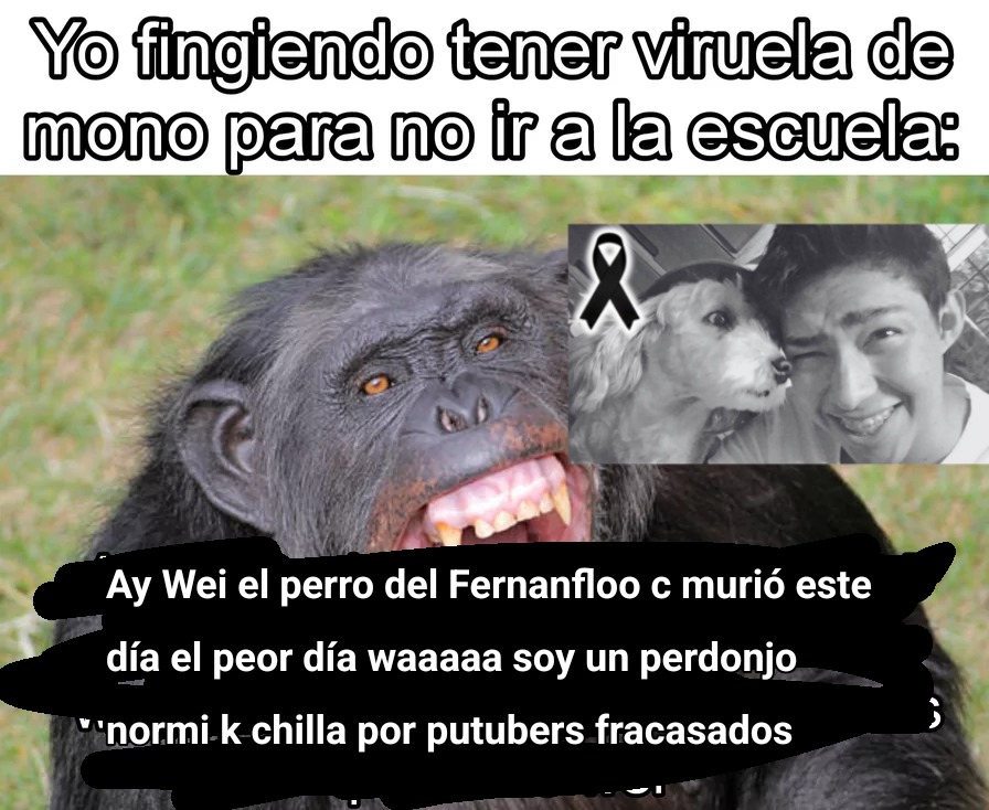 El mejor meme relacionado con este tema, lloren