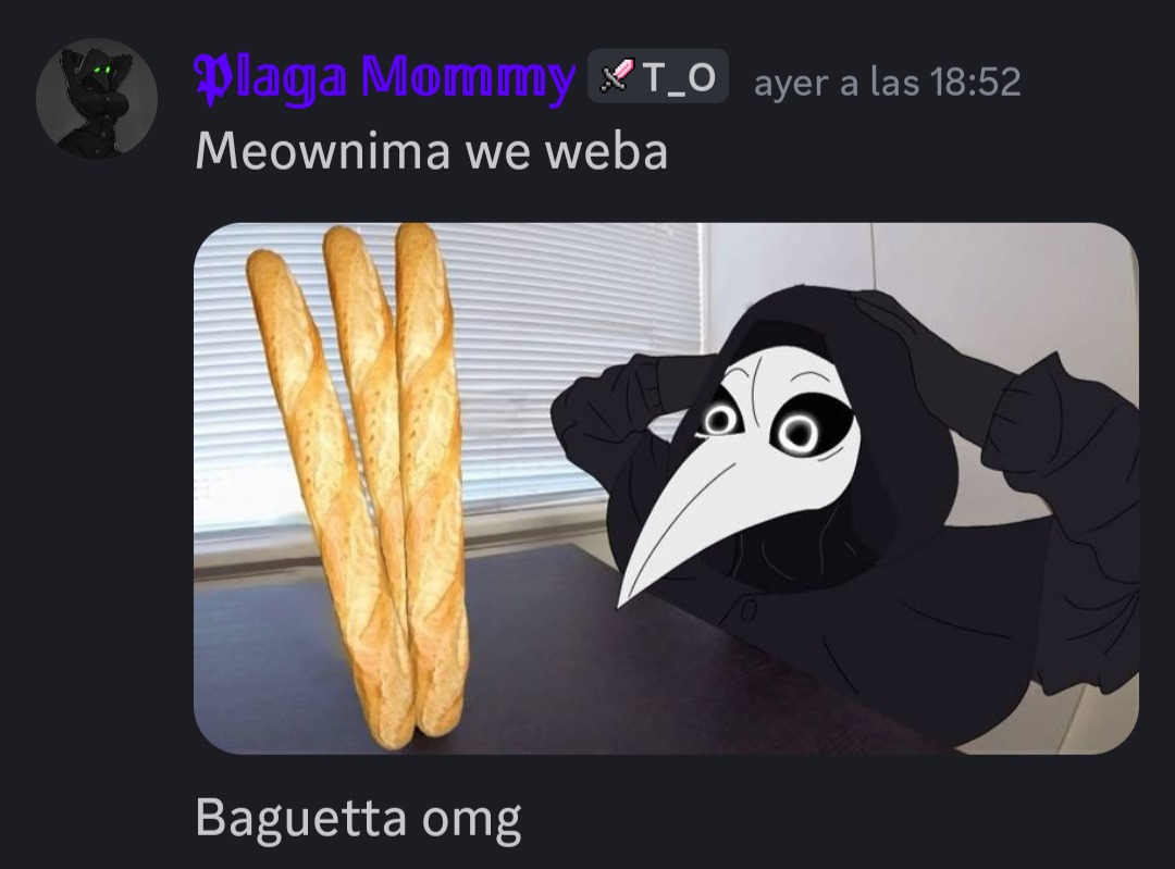 Baguetta omg!!! - meme
