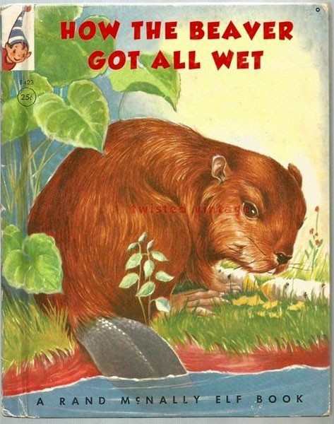 I always get the beavers wet ;) - meme