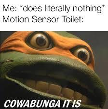 Flush - meme