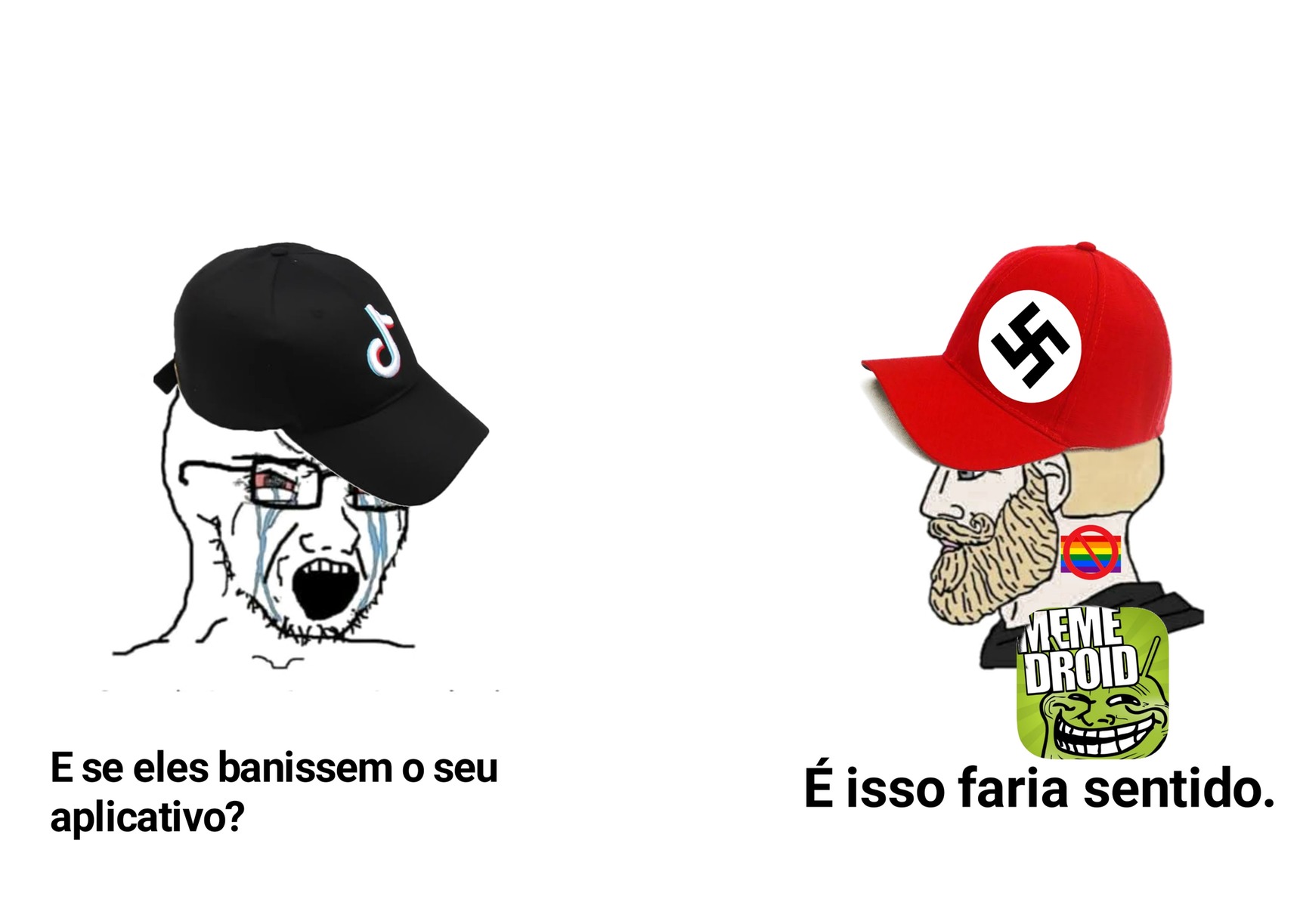 Vocês tem algum grupo no whatsapp, telegram discord? Seria legal  compartilhar alguns vídeos com a comunidade, mas o app não suporta vídeos  :'( - Meme by Shrillstein :) Memedroid