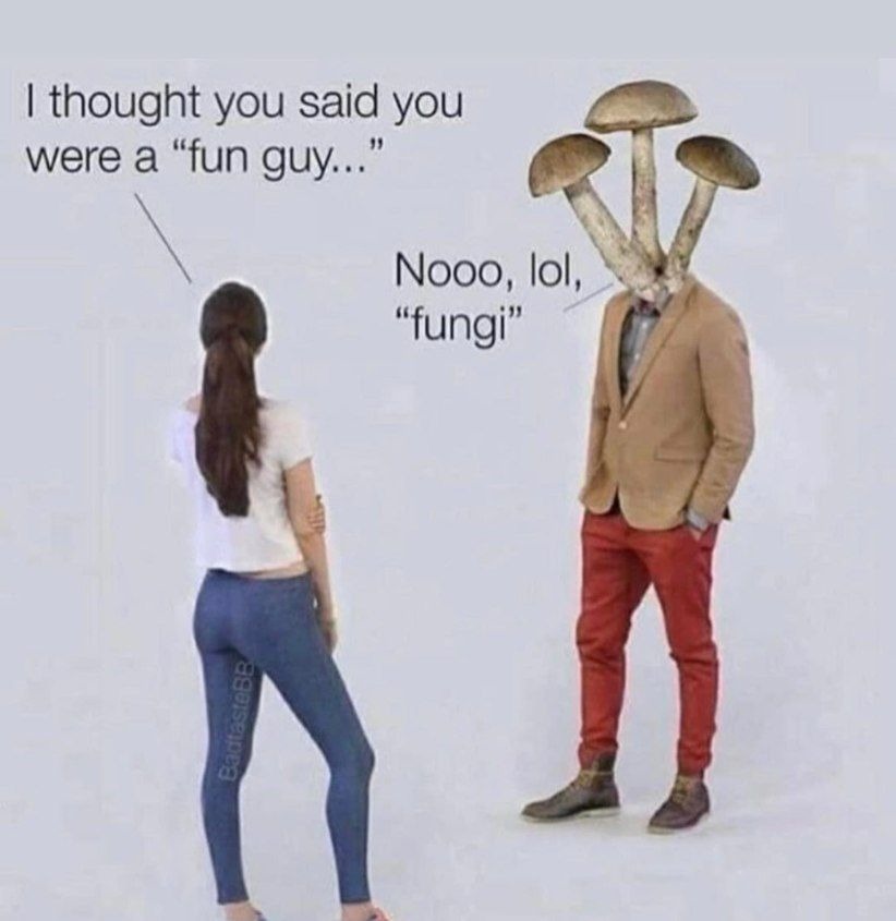 im a fun fungi guy - meme