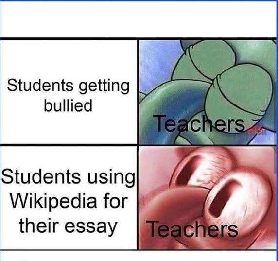 I write quality essays assignment at low price - meme