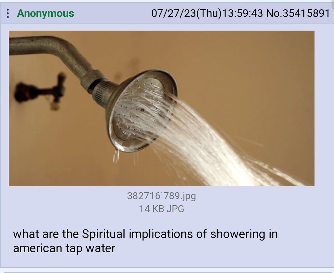 dongs in a shower - meme